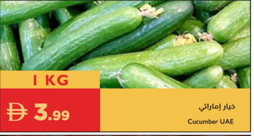 Cucumber available at إسطنبول سوبرماركت in الإمارات العربية المتحدة , الامارات - ٱلْعَيْن‎