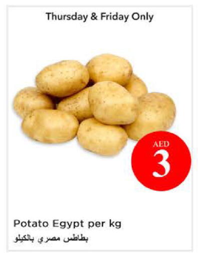 Potato from Egypt available at نستو هايبرماركت in الإمارات العربية المتحدة , الامارات - الشارقة / عجمان