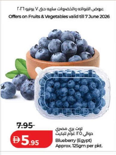 Blueberry BlueBerry from Egypt available at لولو هايبرماركت in الإمارات العربية المتحدة , الامارات - الشارقة / عجمان