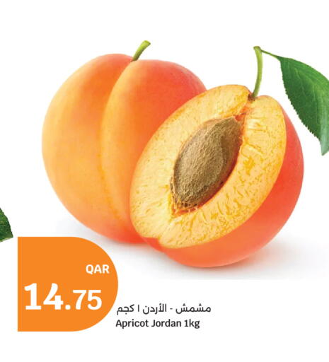Apricot from Jordan available at سيتي هايبرماركت in قطر - الشمال