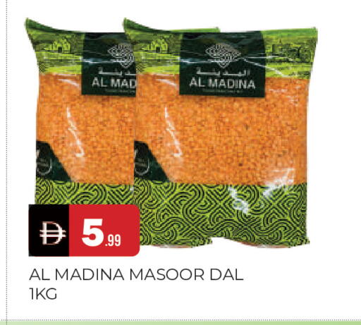 available at المدينة in الإمارات العربية المتحدة , الامارات - الشارقة / عجمان