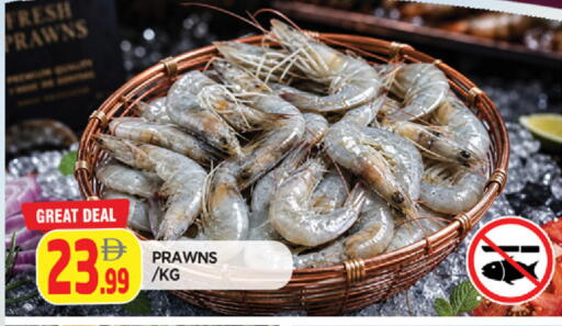 available at المدينة in الإمارات العربية المتحدة , الامارات - الشارقة / عجمان