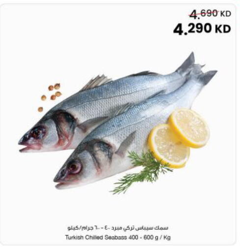 available at مركز سلطان in الكويت - محافظة الجهراء