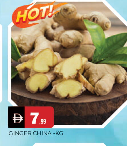 Ginger from China available at المدينة in الإمارات العربية المتحدة , الامارات - الشارقة / عجمان