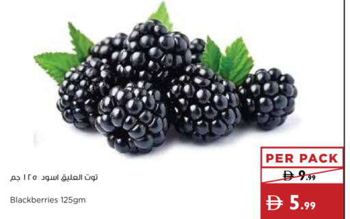 available at إسطنبول سوبرماركت in الإمارات العربية المتحدة , الامارات - الشارقة / عجمان