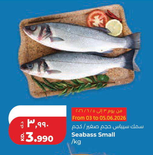 available at لولو هايبر ماركت in الكويت - محافظة الجهراء