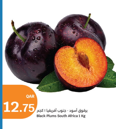 Plums from South Africa available at سيتي هايبرماركت in قطر - الشمال