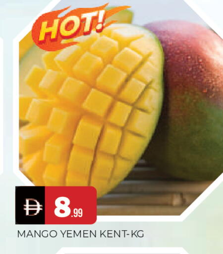Mango from Yemen available at المدينة in الإمارات العربية المتحدة , الامارات - الشارقة / عجمان