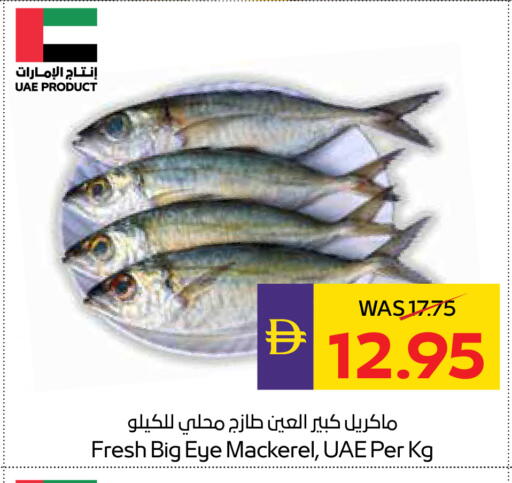 available at أدكووب in الإمارات العربية المتحدة , الامارات - أبو ظبي