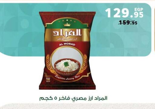 available at بنده in Egypt - القاهرة