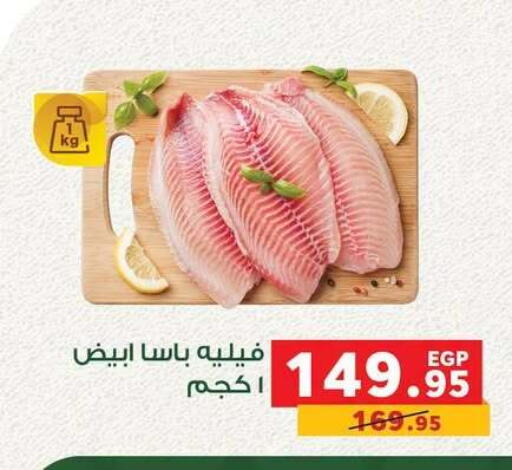 available at بنده in Egypt - القاهرة