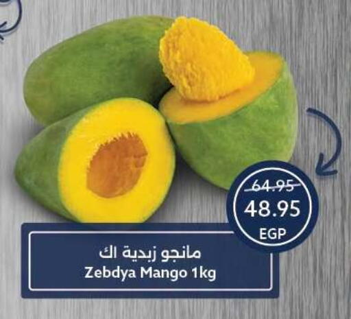 Mango available at  أوسكار جراند ستورز  in Egypt - القاهرة