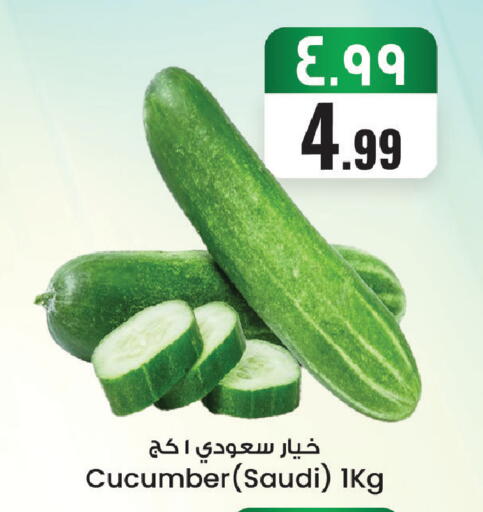 Cucumber from Saudi Arabia available at ستي فلاور in مملكة العربية السعودية, السعودية, سعودية - سكاكا
