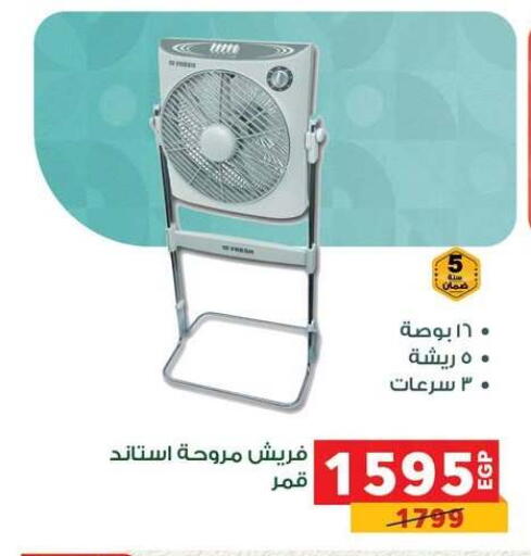 available at Panda  in Egypt - Cairo