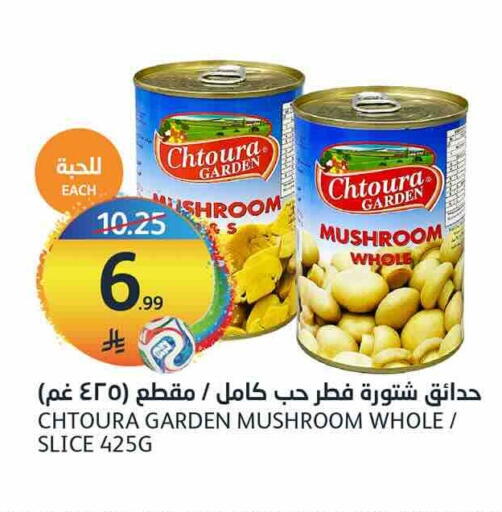 Mushroom available at مركز الجزيرة للتسوق in مملكة العربية السعودية, السعودية, سعودية - الرياض