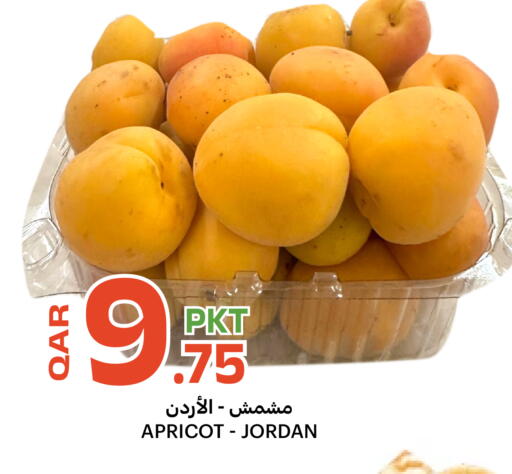 Apricot from Jordan available at البلدي اليوم in قطر - الوكرة