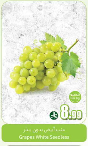 Grapes available at أسواق عبد الله العثيم in مملكة العربية السعودية, السعودية, سعودية - المدينة المنورة