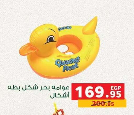available at Panda  in Egypt - Cairo