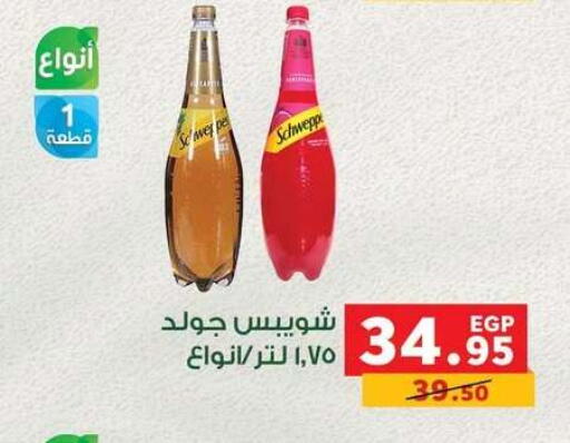 available at بنده in Egypt - القاهرة