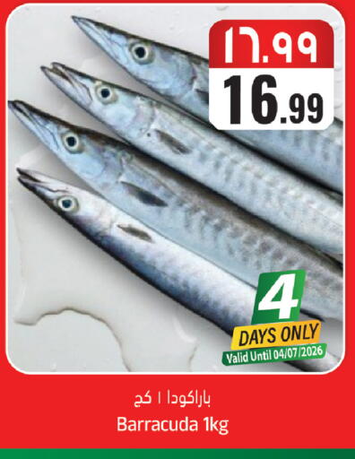 available at ستي فلاور in مملكة العربية السعودية, السعودية, سعودية - الرياض