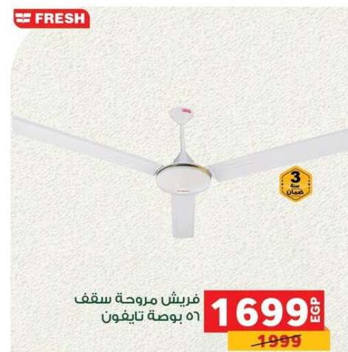 available at Panda  in Egypt - Cairo