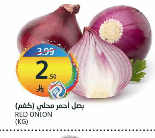 Onion available at مركز الجزيرة للتسوق in مملكة العربية السعودية, السعودية, سعودية - الرياض