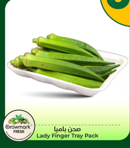 available at هايبر الوفاء in مملكة العربية السعودية, السعودية, سعودية - الخرج