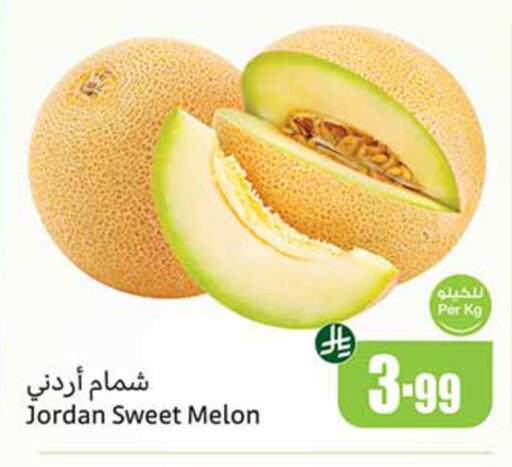 Melon from Jordan available at أسواق عبد الله العثيم in مملكة العربية السعودية, السعودية, سعودية - المدينة المنورة