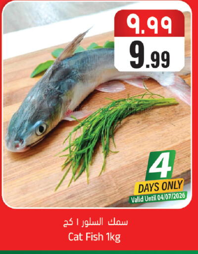 available at ستي فلاور in مملكة العربية السعودية, السعودية, سعودية - الرياض