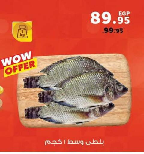 available at بنده in Egypt - القاهرة