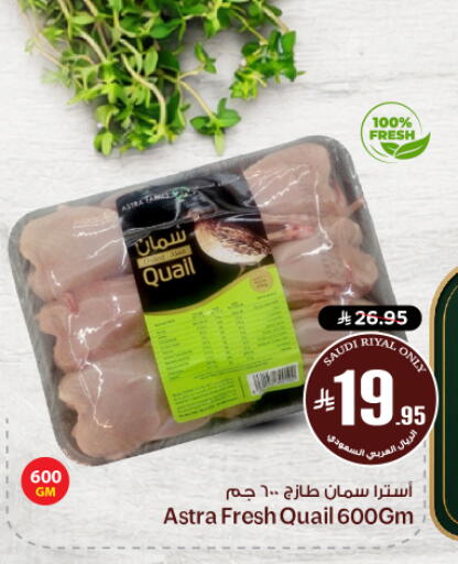 available at نستو in مملكة العربية السعودية, السعودية, سعودية - الرياض