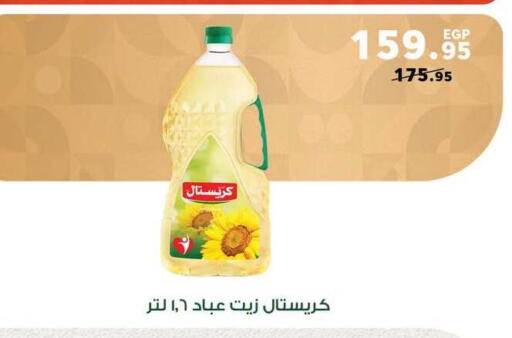 available at بنده in Egypt - القاهرة