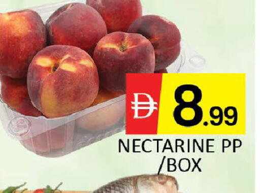 Nectarine Mango available at Mango Hypermarket LLC in UAE - Dubai