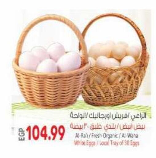 available at El.Husseini supermarket  in Egypt - Cairo
