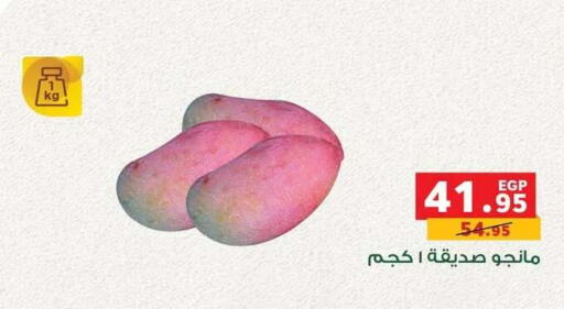 available at Panda  in Egypt - Cairo