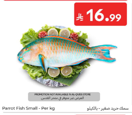 available at كارفور in مملكة العربية السعودية, السعودية, سعودية - المدينة المنورة