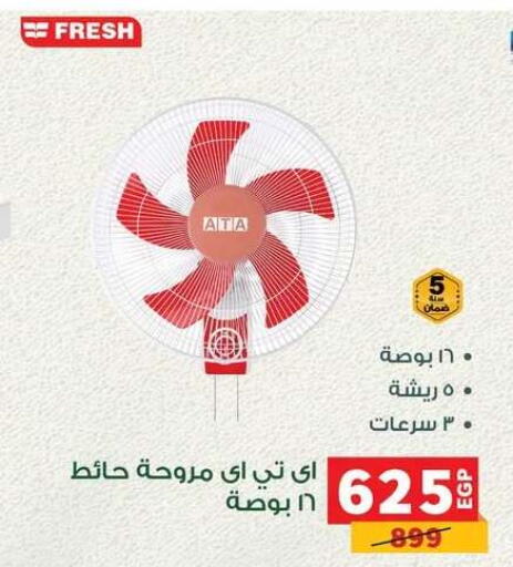available at Panda  in Egypt - Cairo