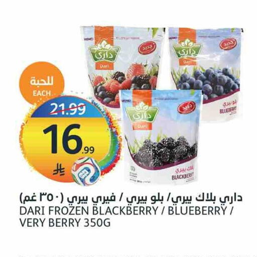 Blackberry Blueberry BlueBerry available at مركز الجزيرة للتسوق in مملكة العربية السعودية, السعودية, سعودية - الرياض