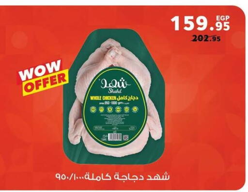 available at بنده in Egypt - القاهرة