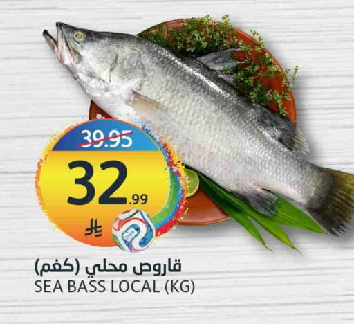 available at مركز الجزيرة للتسوق in مملكة العربية السعودية, السعودية, سعودية - الرياض