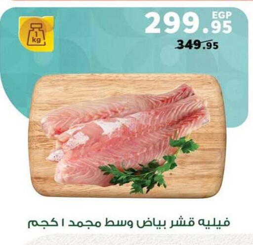 available at Panda  in Egypt - Cairo