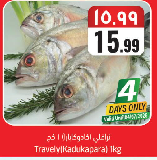 available at City Flower in KSA, Saudi Arabia, Saudi - Sakaka