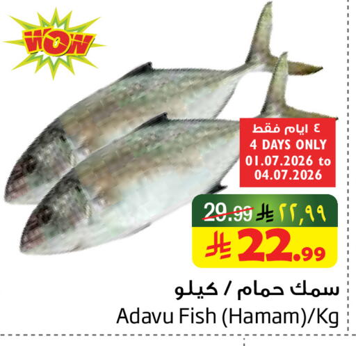 available at ليان هايبر in مملكة العربية السعودية, السعودية, سعودية - المنطقة الشرقية