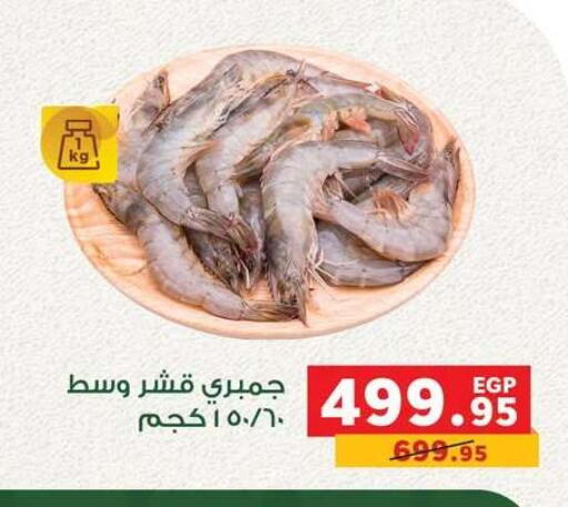 available at بنده in Egypt - القاهرة