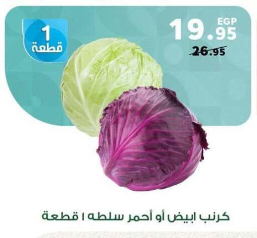 available at بنده in Egypt - القاهرة