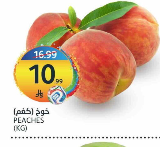 available at مركز الجزيرة للتسوق in مملكة العربية السعودية, السعودية, سعودية - الرياض