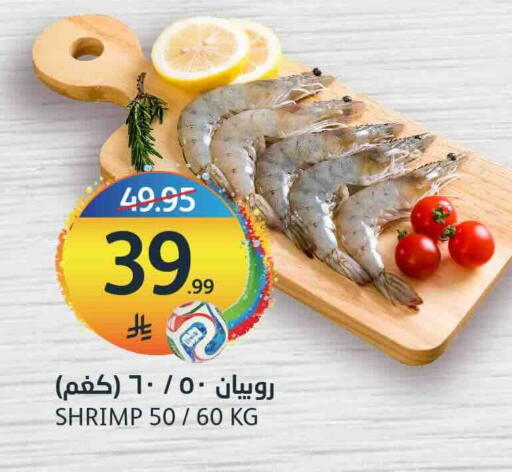 available at مركز الجزيرة للتسوق in مملكة العربية السعودية, السعودية, سعودية - الرياض