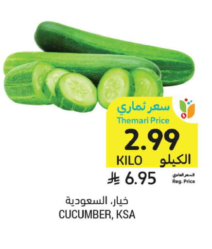 Cucumber available at أسواق التميمي in مملكة العربية السعودية, السعودية, سعودية - الخبر‎