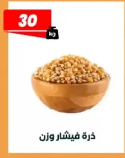 available at عرفة ماركت in Egypt - القاهرة