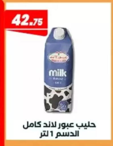 available at Arafa Market in Egypt - Cairo